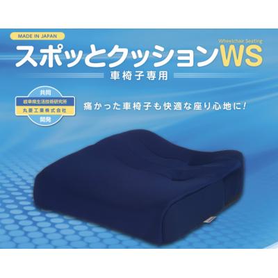 ふるさと納税 小牧市 車いす用「スポッとクッションWS」(2)ブラック [023M02-02]