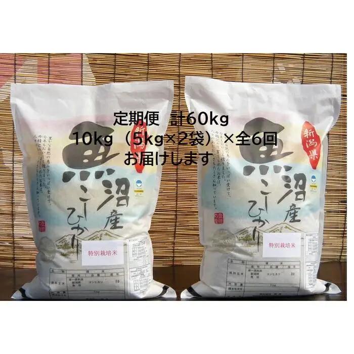 【令和７年】6か月定期便　がんこおやじが作った南魚沼産コシヒカリ白米10kg（5kg×2袋） | 白米