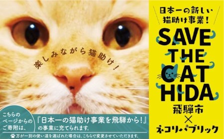 【期間限定】2022年にゃんにゃん手焼き最中アイスセット 10個 バニラ 抹茶 あん抹茶 いちご コーヒー お菓子 スイーツ ギフト モナカ 詰め合わせ (SAVE THE CAT HIDA支援)16