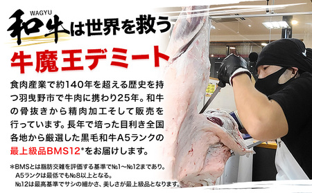 和牛 さいぼし レアジャーキー 約1.2kg(30日以内に出荷予定)牛魔王デミート