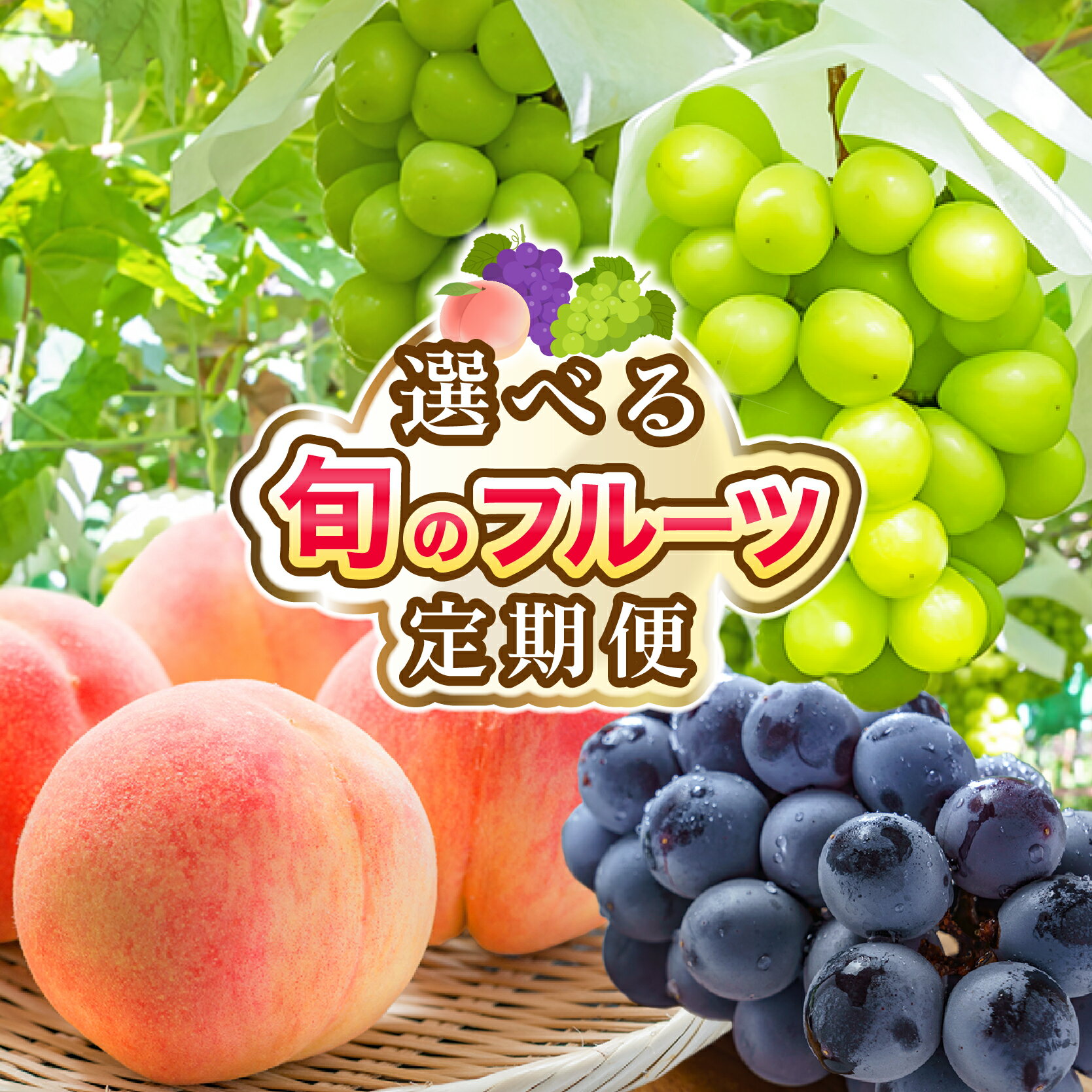 【ふるさと納税】【2026年発送★先行予約】定期便 フルーツ 先行予約 山梨 シャインマスカット 桃 黒葡萄 高評価 お試し ふるさと納税 ランキング 果物 山梨県 笛吹市 人気 冷蔵 定期 もも ぶどう 葡萄