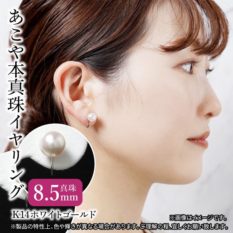 あこや本真珠イヤリング　真珠8.5mm　K14ホワイトゴールド