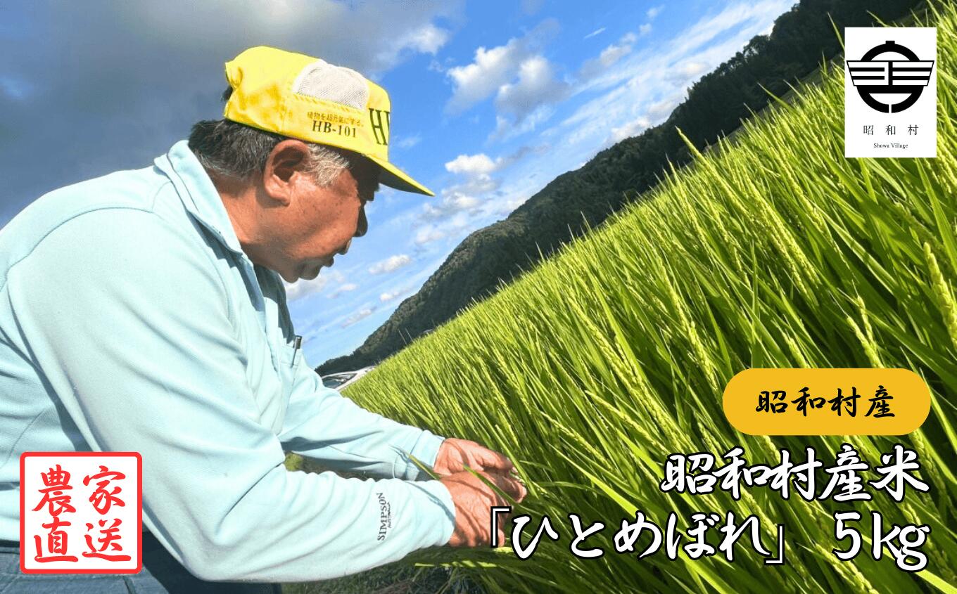 【ふるさと納税】昭和村産米「ひとめぼれ」5kg 米 精米 ひとめぼれ お米 こめ コメ 自然乾燥米 5kg 白米 ご飯 おすすめ お中元 お歳暮 ギフト 昭和村 ふくしま 福島県 送料無料【山内常一】