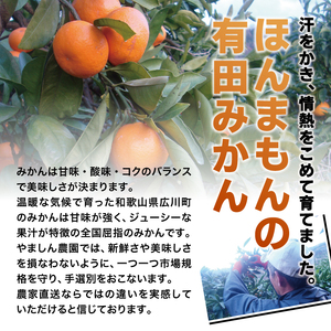 【2024年11月発送予約分】【農家直送】【家庭用】こだわりの有田みかん 約10kg 有機質肥料100%　 サイズ混合　【11月発送】【nuk101-1B】