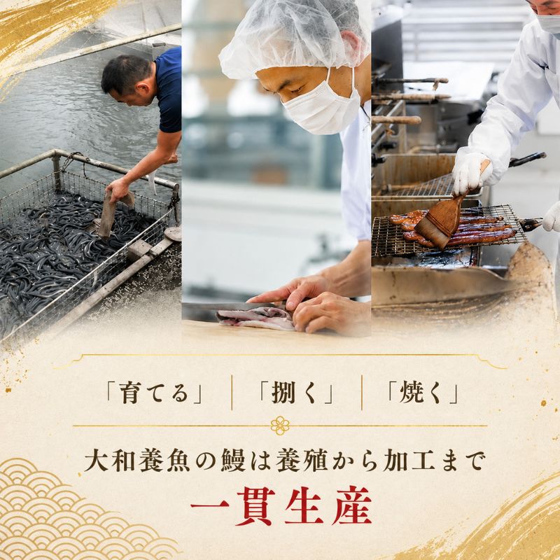 浜名湖うなぎ蒲焼（小丼用）計620g 【訳あり】サイズ不揃い12～15袋
