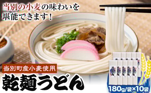[0.8-240] 　当別町産小麦を使った 乾麵うどん 10袋 うどん 乾麺 JA北石狩農協協同組合 北海道 当別町