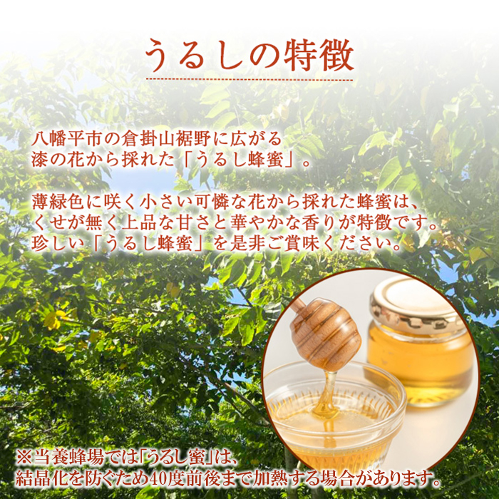 【 国産純粋はちみつ 】 うるし 蜂蜜 270g × 1本 ／ 漆 ウルシ 漆蜜 うるし蜜 はちみつ ハチミツ ハチ蜜 ハニー 国産 岩手県産 八幡平市産 珍しい 【高橋養蜂】