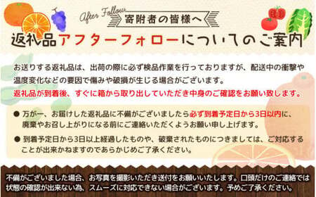 和歌山県産 貯蔵たねなし柿化粧箱入り（6玉～8玉入り） ※2024年12月中旬から2025年1月中旬頃に順次発送【tec941】