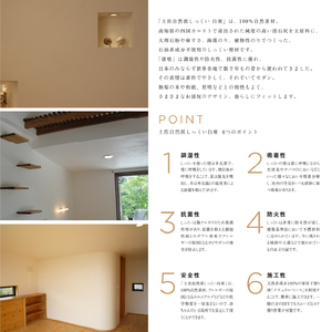 自然派しっくい 白亜 DIY用 アイスグレー 20kg[16平方メートル] | 簡単 練り済み しっくい 漆喰 珪藻土 自然素材 リノベ リフォーム 南国市