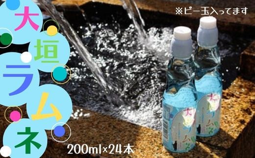 
大垣ラムネ（200ｍｌ×24本）　自噴水を使用
