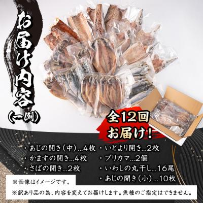 ふるさと納税 佐伯市 <定期便・全12回 (毎月)>訳あり 干物大満足BOX (40尾以上) |  | 01