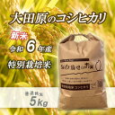 【ふるさと納税】令和6年産 精米　特別栽培米コシヒカリ「五月女農場のお米」(5kg) | お米 こめ 白米 食品 加工食品 人気 おすすめ 送料無料