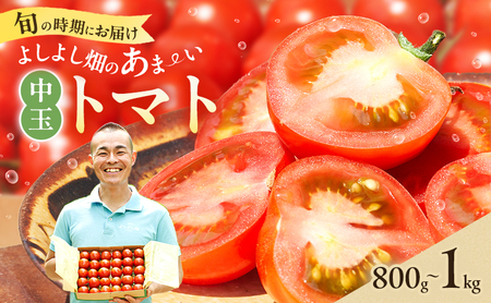 トマト よしよし畑 中玉トマト 新鮮 トマト【800g～1kg】【冷蔵】