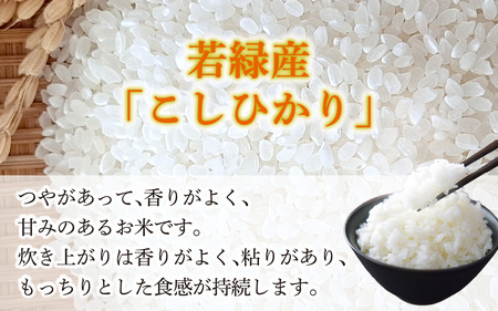 【先行予約】こしひかり 10kg【2027年3月発送】｜ コシヒカリ お米