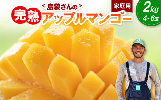 【2026年7月上旬から順次発送・家庭用】島袋さんの完熟アップルマンゴー 2kg(4～6玉)【配送不可地域：離島】