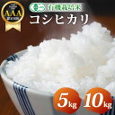 【ふるさと納税】木島平産 有機JAS コシヒカリ白米 約5kg（山嵜智之さん） | 米 白米 精米 特別栽培米 コシヒカリ こしひかり お米 おこめ 有機JAS 長野県 木島平村 信州