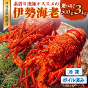 【ふるさと納税】＜選べる＞ ボイル済み 冷凍 伊勢海老 約500g ～ 3kg 沖永良部島 直送 素潜り漁師 オススメ えび 海老 イセエビ 高級 ボイル 茹で 国産 新鮮 鮮度 魚介 産地直送 味噌汁 鍋 焼きエビ マヨネーズ焼き 西郷食堂 鹿児島 和泊町 ランキング プレゼント ギフト