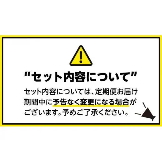 【 定期便 全3回 毎月 お届け 】   新宿 中村屋 レトルト 食べ比べ セット ( Aセット 12種 )