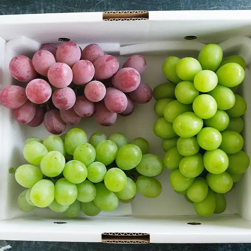 大人気！【こんのぶどう園】山形本沢産 高級ぶどう 3種食べくらべD 秀以上 約2kg 【令和8年産先行予約】FU22-336 くだもの 果物 フルーツ 山形 山形県 山形市 2026年産