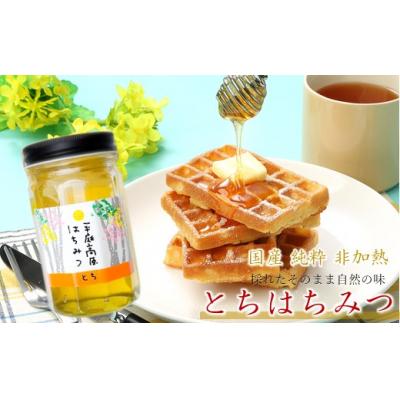 ふるさと納税 久慈市 「平庭高原はちみつ(とち)500g」国産 純粋 非加熱 無加糖 無添加 はちみつ