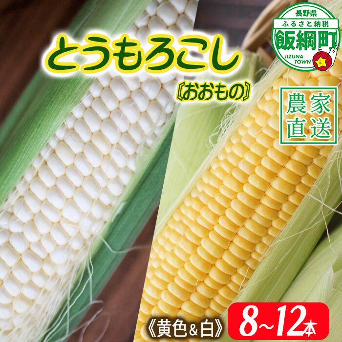 【ふるさと納税】とうもろこし 8本〜12本 (黄色・白) 信州産 朝採り 上倉荘 配送先は本州限定 長野県 飯綱町 〔 信州 トウモロコシ コーン おおもの 野菜 14000円 〕発送時期：2025年8月上旬〜2025年9月中旬