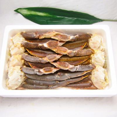 ふるさと納税 阪南市 【2026年12月5日より順次発送】生ずわい蟹 5Lサイズ 3.0kg(6〜8肩)【お歳暮・年末】 |  | 01