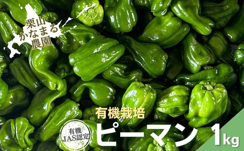 
            有機栽培 ピーマン 1kg　栗山かなまる農園　B054
          