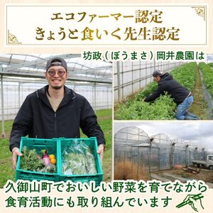 【訳あり】季節の野菜セット4～6品　京都府久御山町産【配送不可地域：離島】【1615125】