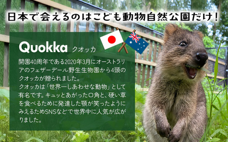 クオッカマスコットストラップ | キーホルダー ストラップ ぬいぐるみ クオッカ こども動物自然公園 プレゼント オリジナル グッズ ホビー 動物 かわいい クオッカグッズ 埼玉県こども自然動物公園 