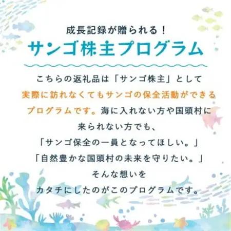 離れていても応援できる!国頭村の「サンゴ株主」プログラム5株【1581395】