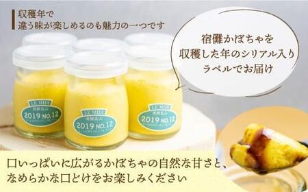 宿儺カボチャの三ツ星 プリン 8個セット | プリン スイーツ 飛騨高山 GV003VC13
