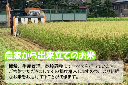 【令和7年産・新米】 おおかわさんちの華越前 5kg 精米 [A-10809]