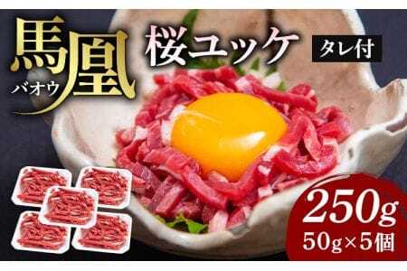 令和8年熊本地震復興支援 馬肉 ユッケ 馬凰（ばおう）旨味溢れる 桜ユッケ 計250g（50g×5パック）