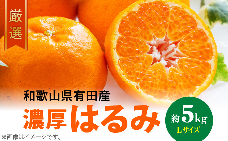
            AB6047n_【2026年先行予約】和歌山有田の濃厚 はるみ 5kg (Lサイズ)【ハルミ 春見 ミカン 蜜柑 柑橘 和歌山 有田】
          