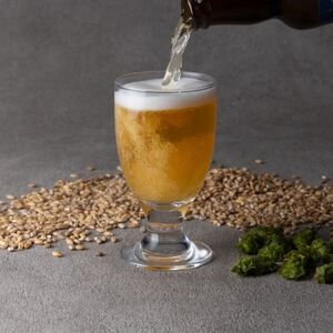 安城産大麦使用クラフトビール2種4本詰め合わせセット【配送不可地域：離島】【1669336】