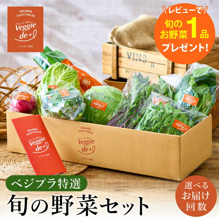 【ふるさと納税】旬の新鮮なお野菜を産地直送！ベジプラ特選 旬の野菜セット【選べる定期便　1回・ 4回・ 12回 】 / 野菜 詰め合わせ セット 野菜セット 新鮮 ギフト やさい 苦みが少ない 甘みが強い Veggie de＋【レビューキャンペーン中】