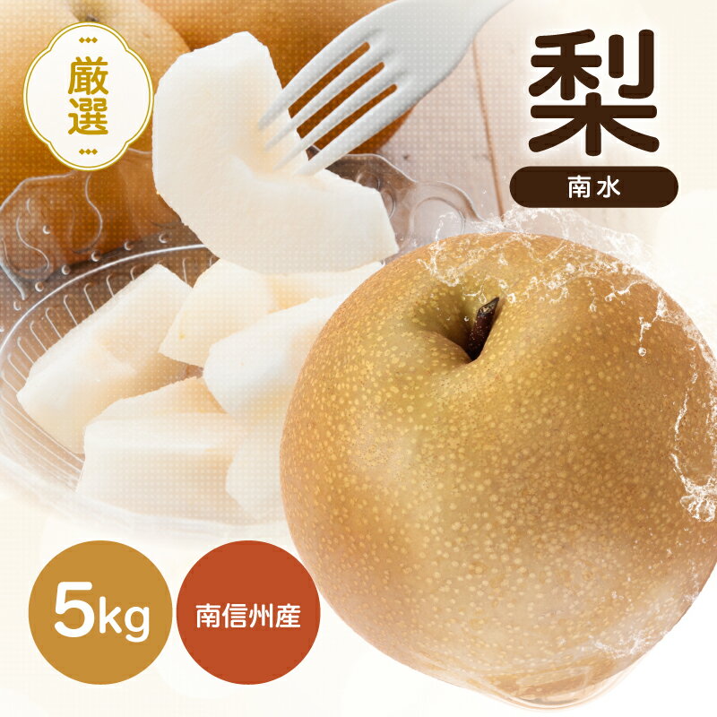 【ふるさと納税】 南信州産 梨 「 南水 」約5kg 【2026年9月中旬～発送】 | 果物 くだもの フルーツ 梨 なし ナシ 南水 長野県 信州 南信州 飯田市 H10