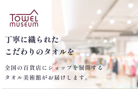 カラーパレット フェイスタオル2枚セット（ラベンダー） タオル美術館【I001720FT2LV】