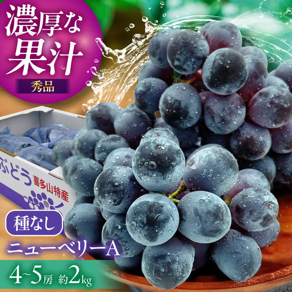 【ふるさと納税】【先行予約】【2026年8月中旬から順次発送】大洲市産　ニューベリーA　4-5房入　2.0kg 愛媛県大洲市/株式会社フジ・アグリフーズ[AGBA024] ニューベリーA 種無し 種なし 種無し 大粒 高級 新鮮 厳選 贅沢 人気 美味しい おいしい 甘い おすすめ オススメ