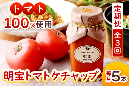【定期便・全3回】 明宝トマトケチャップ5本セット 
