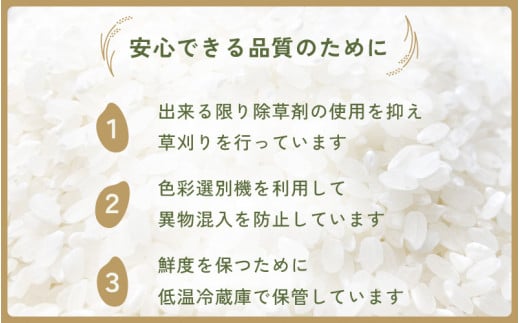 【新米・先行予約】定期便≪3ヶ月連続お届け≫ 数量・期間限定！お米 こしひかり 5kg×3回（計15kg）（精米）令和7年 福井県産 炊きたての美味しさを追求したお米【米 コメ kome 5キロ 3か