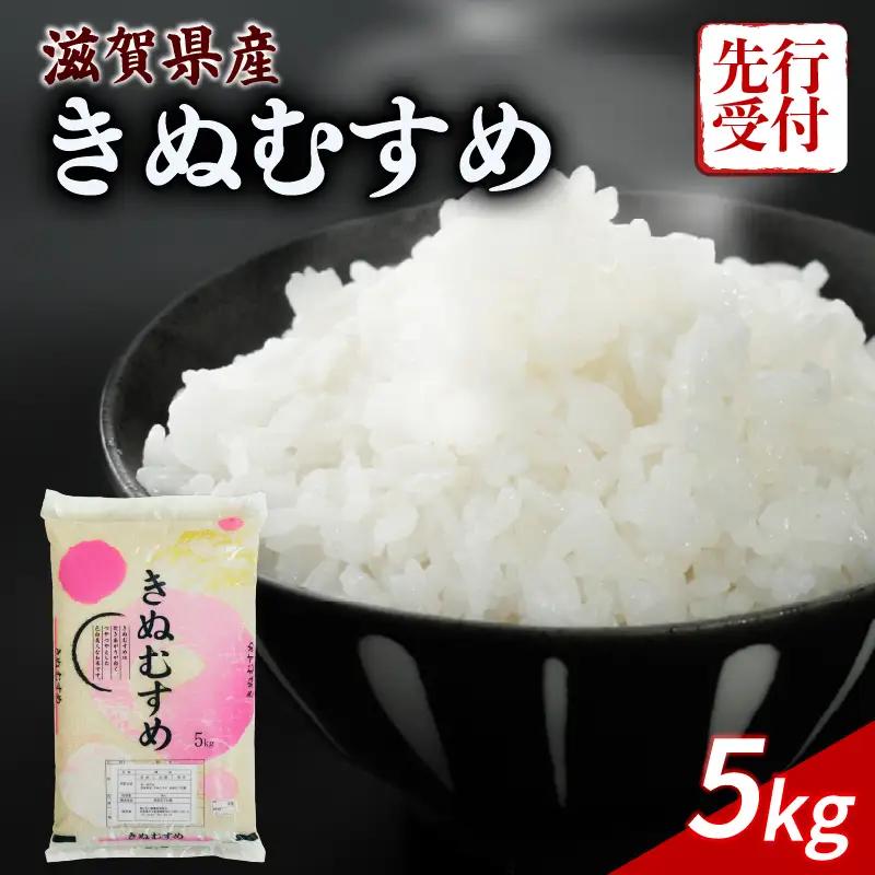 【令和8年産】 先行予約 新米 きぬむすめ 5kg 令和8年産 米 近江米 キヌムスメ