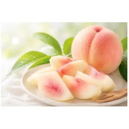 【先行予約】岡山の白桃・約2kg(5～9玉)7月下旬頃から9月上旬頃発送予定【配送不可地域：離島】【1742048】