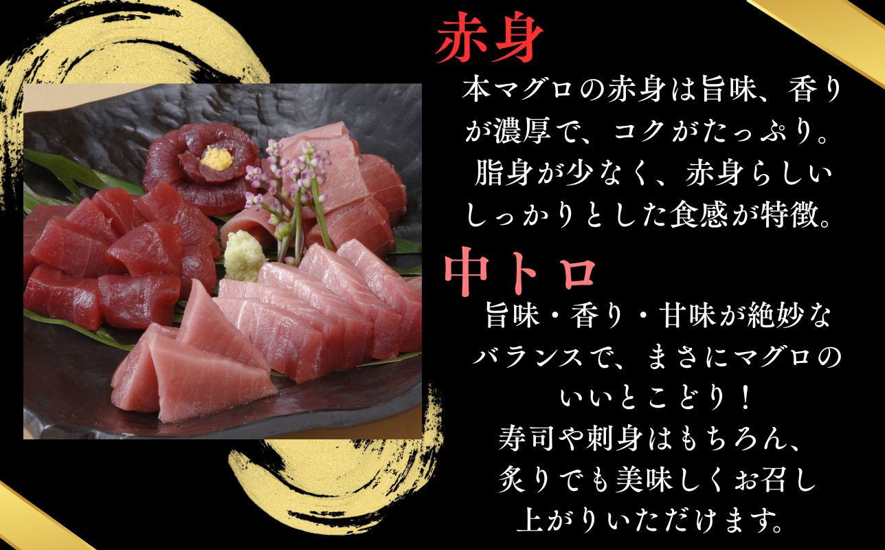 【出荷時期：7月上旬〜】本マグロ 赤身 2柵 中トロ 1柵 セット 国産 本鮪