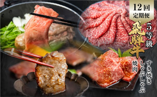 定期便 全12回 飛騨牛 5等級 しゃぶしゃぶ すき焼き 焼肉 お楽しみ定期便 12ヵ月 ロース もも うで 食べ比べ 国産牛 国産 牛肉 肉 厳選 熟成 肉の沖村