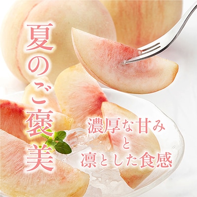桃先行受付!　【川中島白桃】　(大玉特秀品)　約2kg　6～9個入　こだわり農家厳選!【配送不可地域：離島】