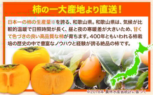 たねなし柿（刀根早生柿・平核無柿）約2kg《2025年9月中旬-11月上旬頃出荷(土日祝除く)》 和歌山県 岩出市 種なし柿 柿 果物 フルーツ 2L〜Mサイズ カキ 
