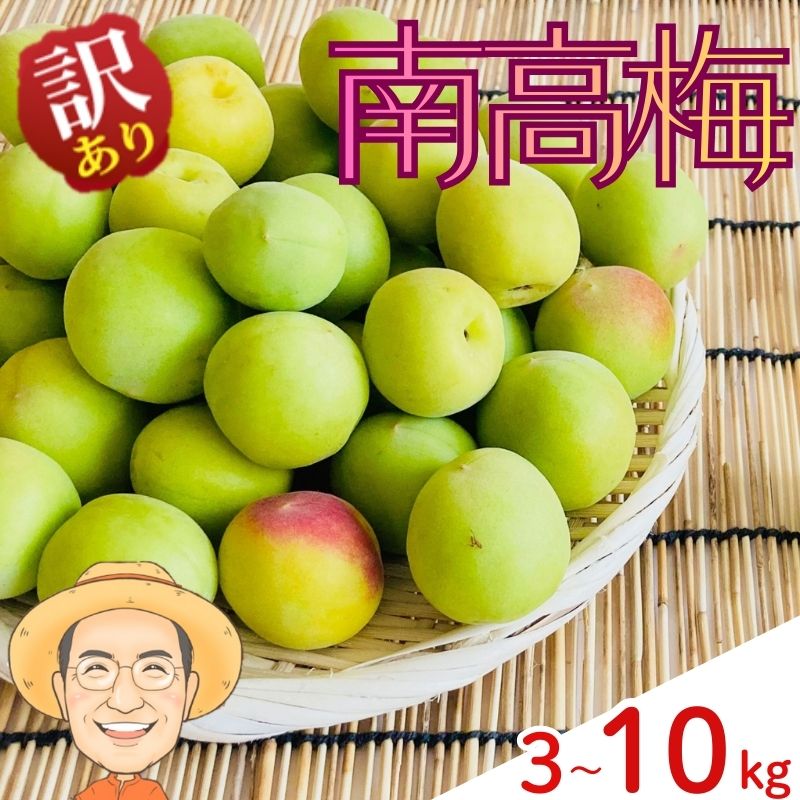【ふるさと納税】【訳あり】南高梅 青梅 約3kg 約5kg 約10kg(＋保証100g) サイズ不揃い カキエモン農園 【2026年6月上旬～6月中旬頃順次発送】 和歌山産 梅干し 梅酒 梅シロップ 果実 うめ 梅 ウメ カキエモン 農園 送料無料 なんこううめ なんこうばい なんこう梅 加工用