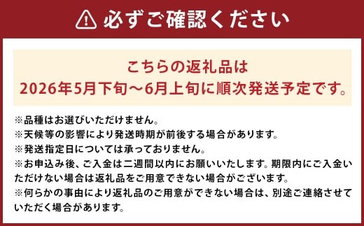 小玉 すいか 2玉 入り 1玉1.5kg 以上 西瓜