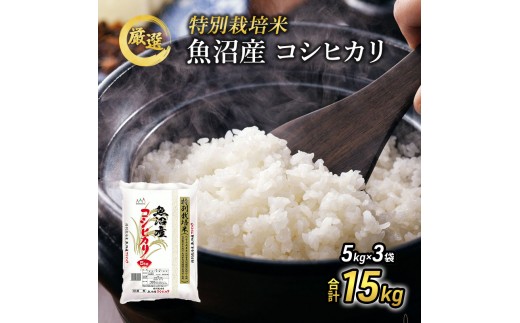 
                  令和7年産『お米アドバイザー厳選！』魚沼産コシヒカリ 特別栽培米 精米15kg（5kg×3袋） 
                